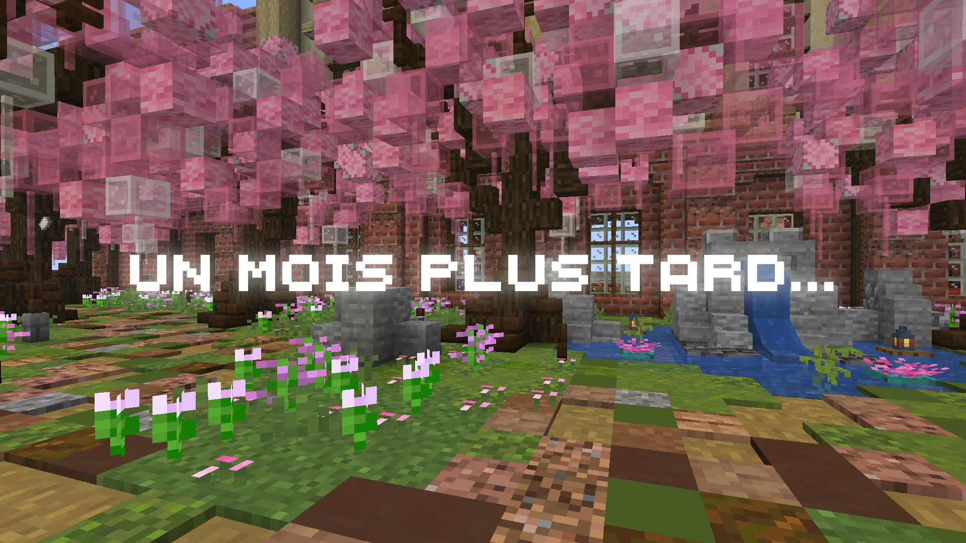 Un mois plus tard... Quoi de neuf ?